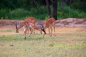 IMG_20250120-01-IMG_0904