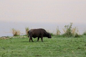 IMG_20250120-01-IMG_0981